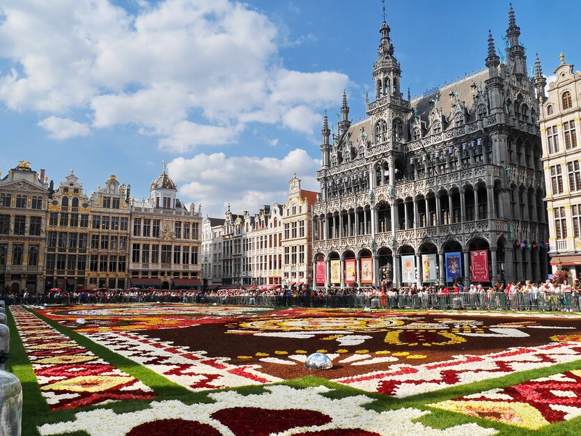 Grote Markt, Brüssel, Belgien. Blumenmeer als Atraktion